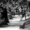Public Gardens : Taken in Halifax, NS
